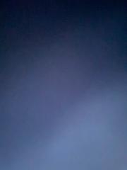 Bushra Cham