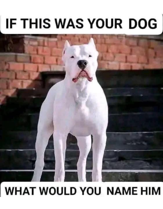 What name would you give to him?