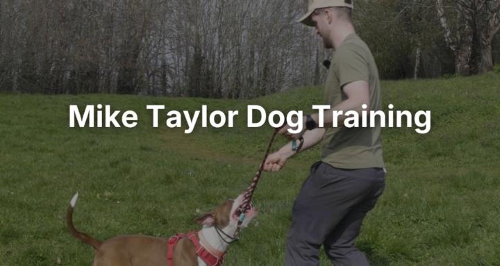 Mike Taylor Dog Training