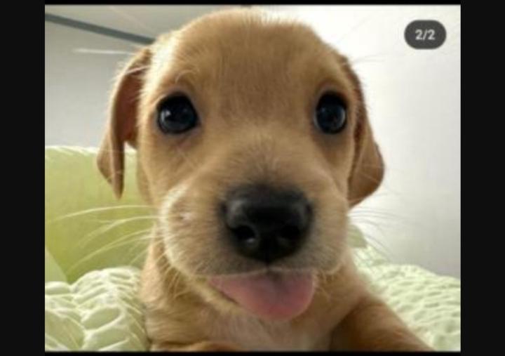 Alfonso Garcia Marin