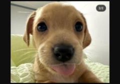 Alfonso Garcia Marin