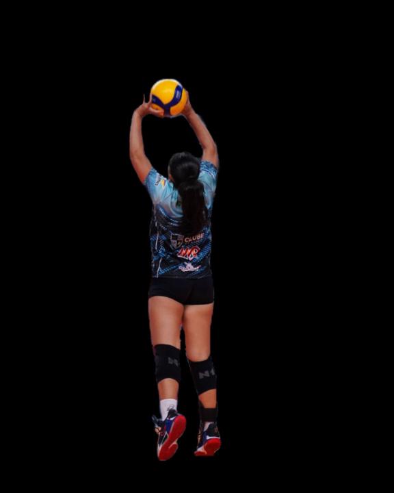 Maitê Tavares
