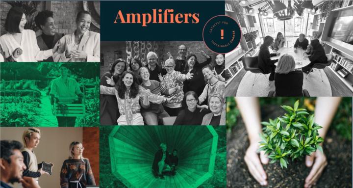 Amplify Accelerator