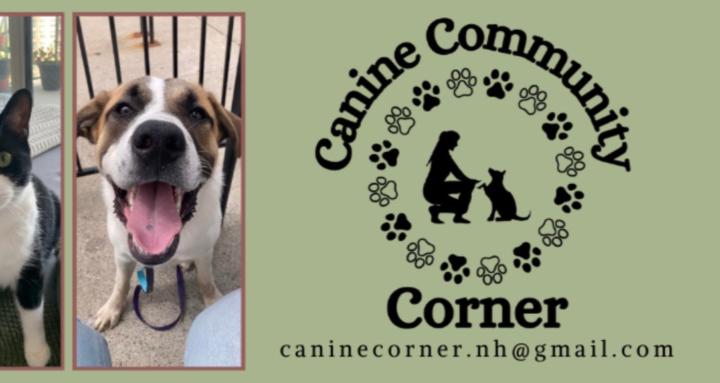 Canine Community Corner