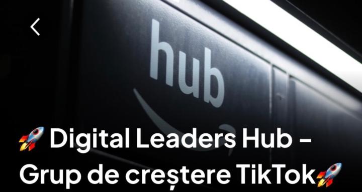 Digital Leaders Hub