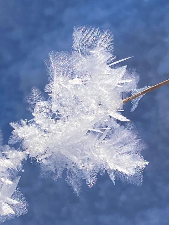 David William Pendleton Fonquernie