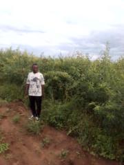 Cassian Nyamweru