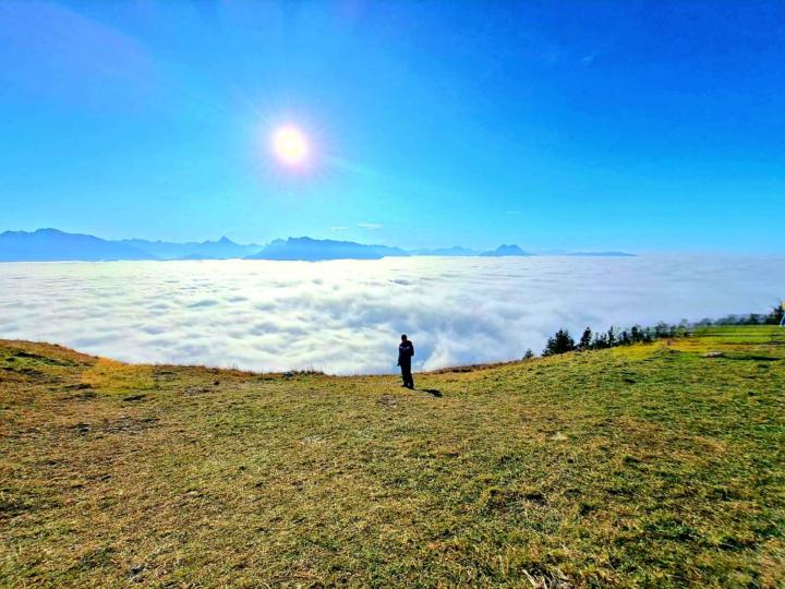 Juan David Andrade Baron