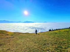 Juan David Andrade Baron