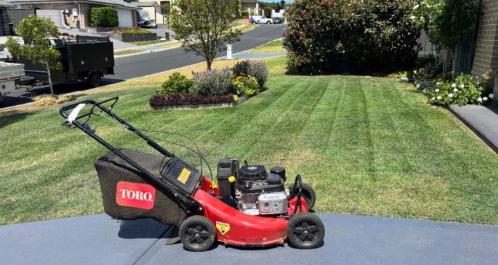 Hutcho’s lawn property