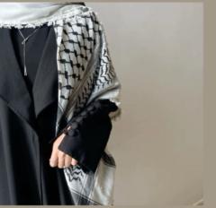 Ayat Hejazy