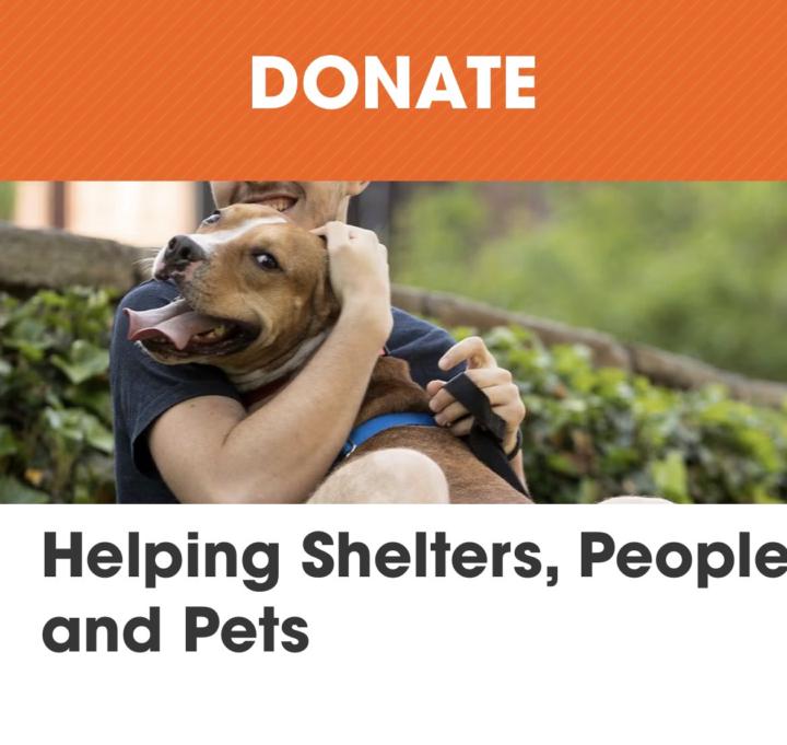 Helping Shelters,People and Pets