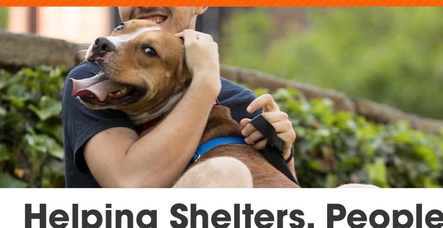 Helping Shelters,People and pets