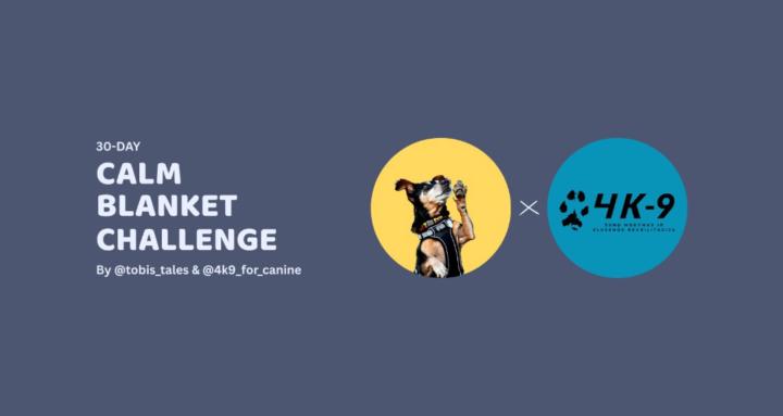 Calm Blanket Challenge