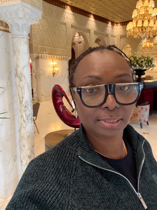 Adepitan Ogedengbe