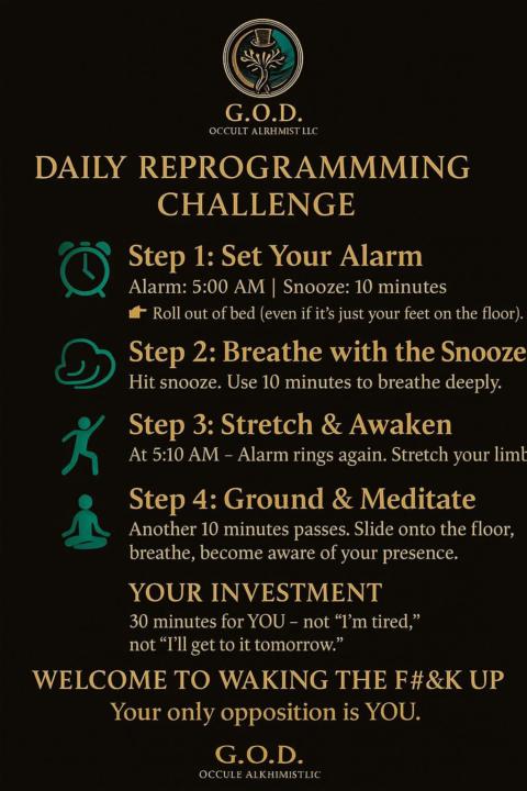 🌅 Daily Reprogramming Challenge