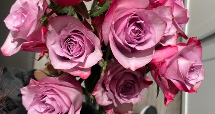 Spanish with Natalie