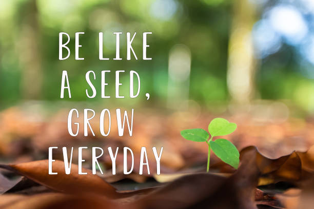 🌱Daily Growth Mindset 🌱
