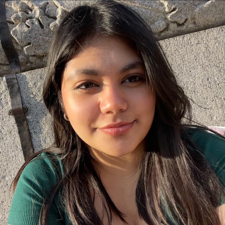 Maryam Mohsin
