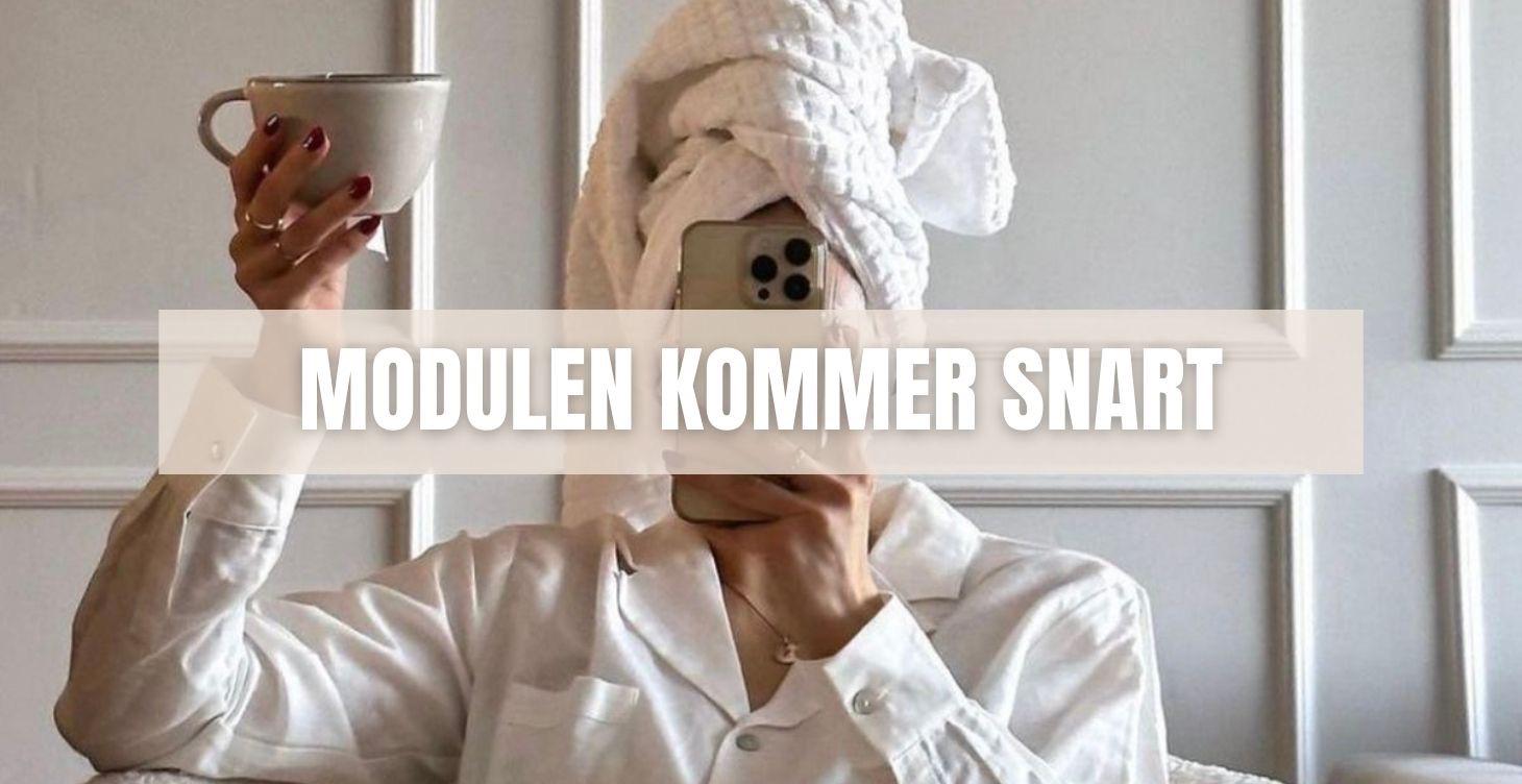 ⭐ SÄLJ & OLIKA INKOMSTBEN