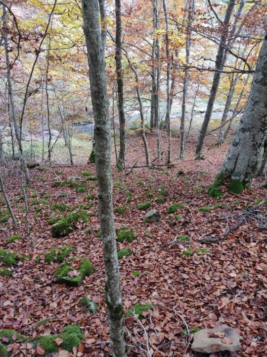 Jorge López de calle