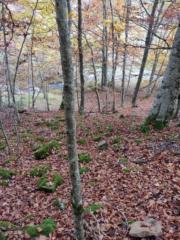 Jorge López de calle