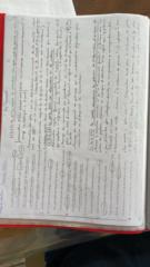 Kzejljfkz Zlekjfzljfzlkj