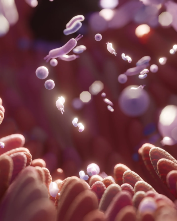 Nourrir son microbiote