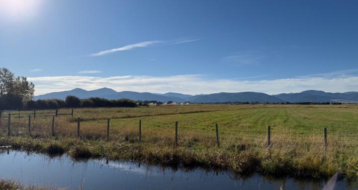 Real Women Real Recovery