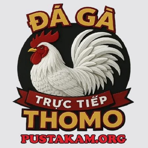 Đá gà trực tiếp Thomo