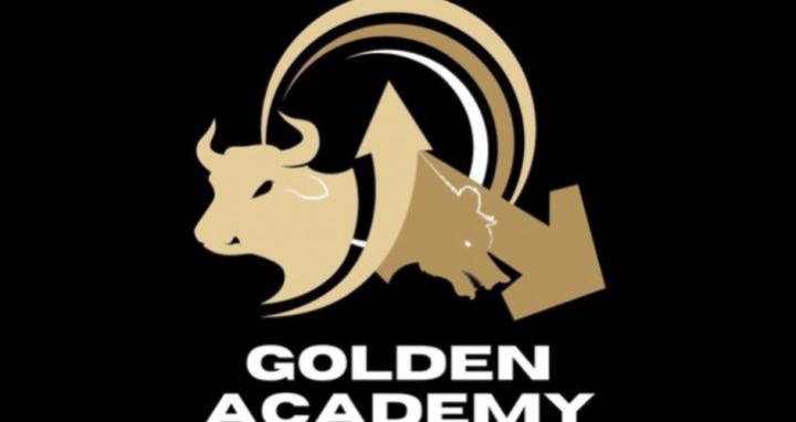 THE GOLDEN ACADEMY 