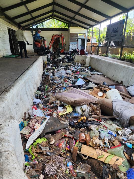 Any Advice: Pool Nightmare 😬