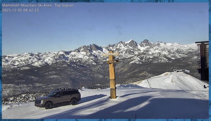 Spotted on the cam this morning