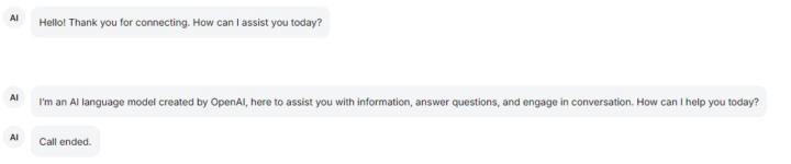 Kind of URGENT... Voice AI - saying "Thank you for connecting"