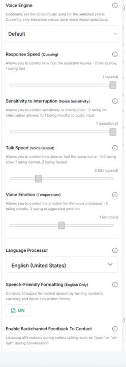 Best Voice AI Settings?