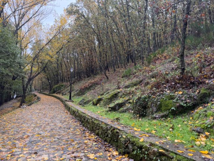 Franklin Reyes Cotes