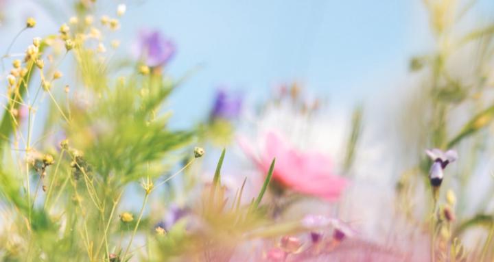 Achtsamkeit und Resilienz