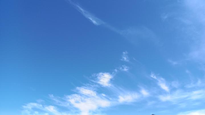 Rochelle Van Heerden