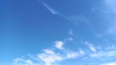 Rochelle Van Heerden