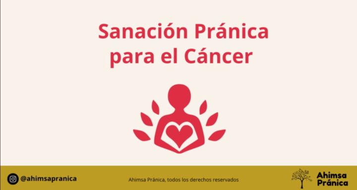 Programa Integral
