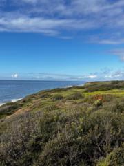 Erika Castaneda-Flores