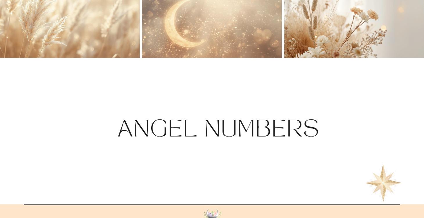 Angel Numbers