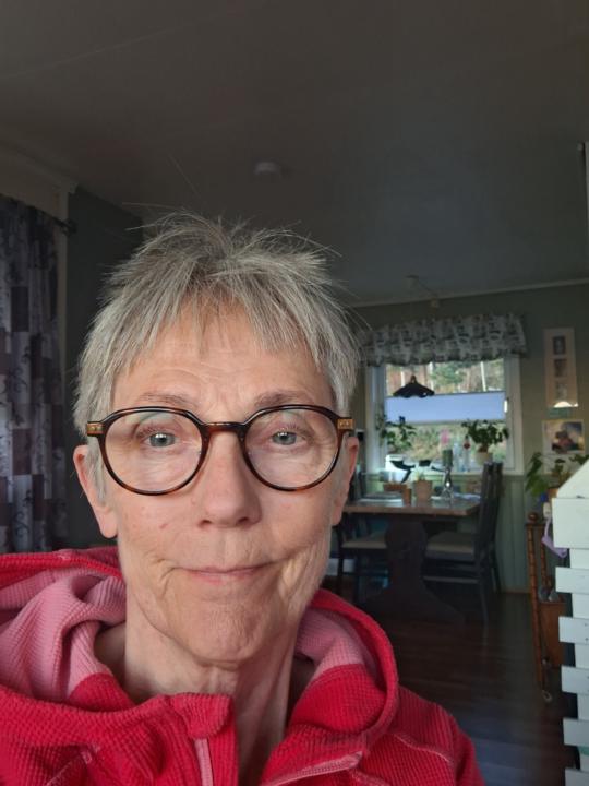 Ingrid Viken