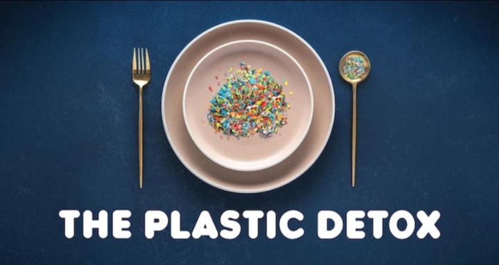 The Plastic Detox