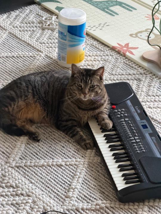 Daurenkozha Kussainov