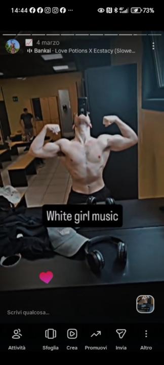 Matthias Gallavotti