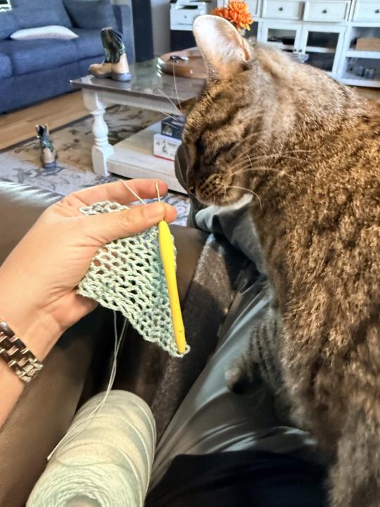 Tribulation in crochet time