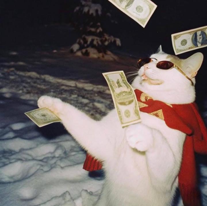 TradingCriptologies Tc