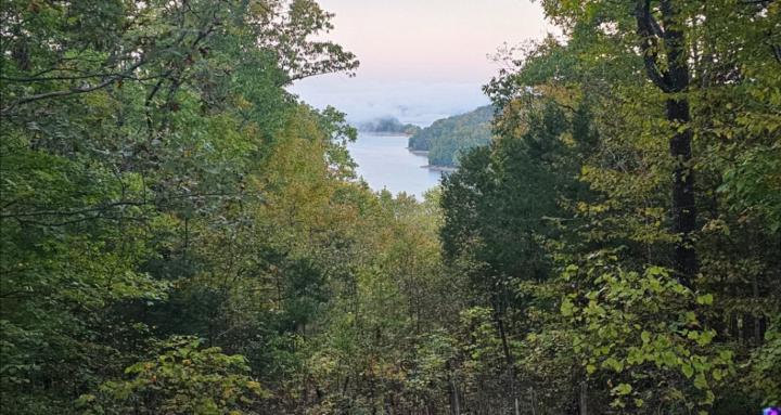 Thrive and Flow Odyssey