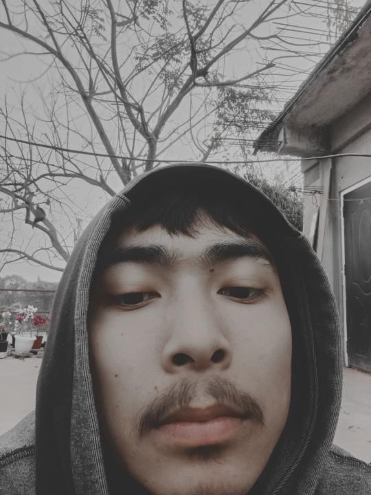 Black Sheep